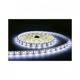 Ruban LED -  5m - 36W - 12V - 6000K - IP67 - Dimmable